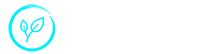 Virtual Planet's Logo